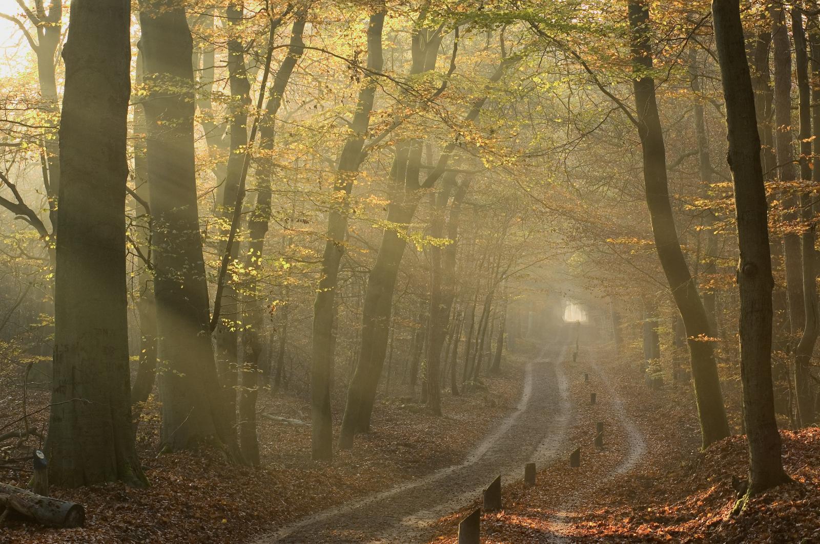 herfst op landgoed Het Roode Koper